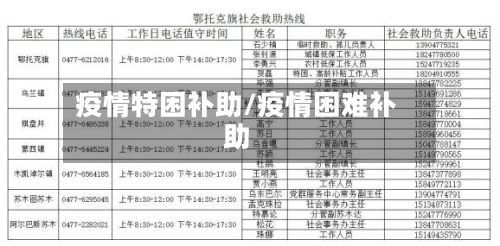 疫情特困补助/疫情困难补助