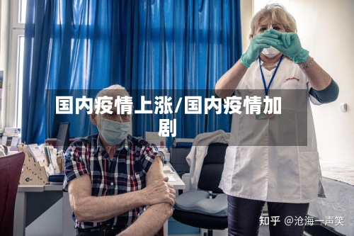 国内疫情上涨/国内疫情加剧