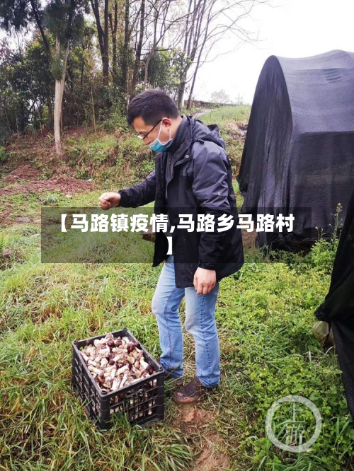 【马路镇疫情,马路乡马路村】-第1张图片