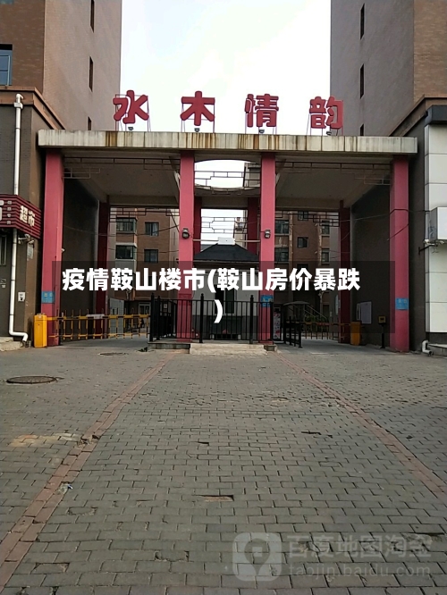 疫情鞍山楼市(鞍山房价暴跌)