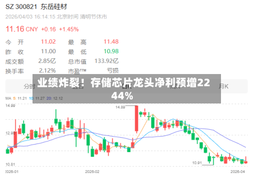 业绩炸裂！存储芯片龙头净利预增2244%
