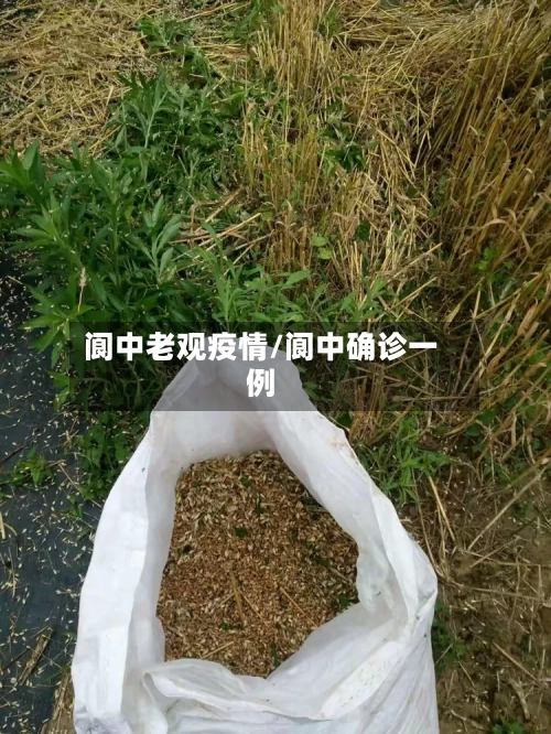 阆中老观疫情/阆中确诊一例