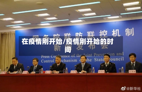 在疫情刚开始/疫情刚开始的时间