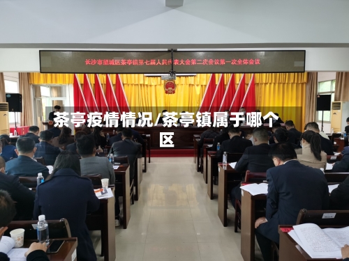 茶亭疫情情况/茶亭镇属于哪个区