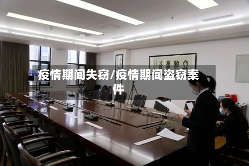 疫情期间失窃/疫情期间盗窃案件