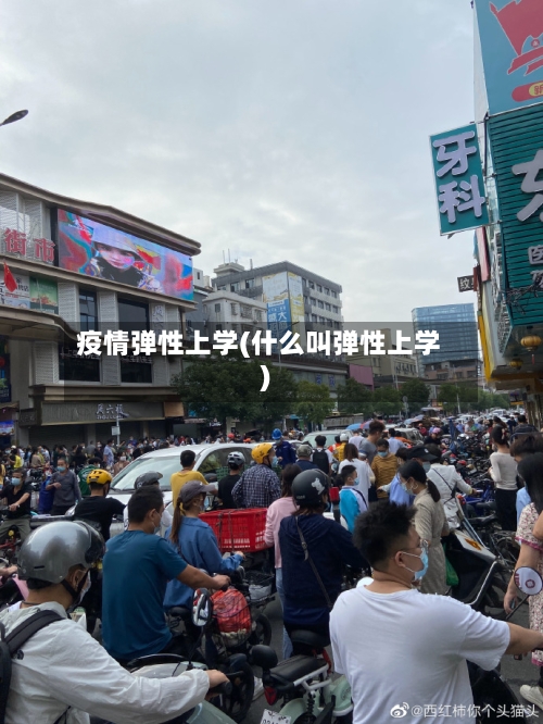 疫情弹性上学(什么叫弹性上学)