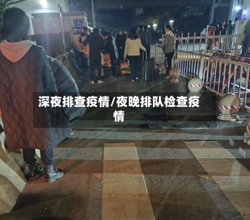 深夜排查疫情/夜晚排队检查疫情