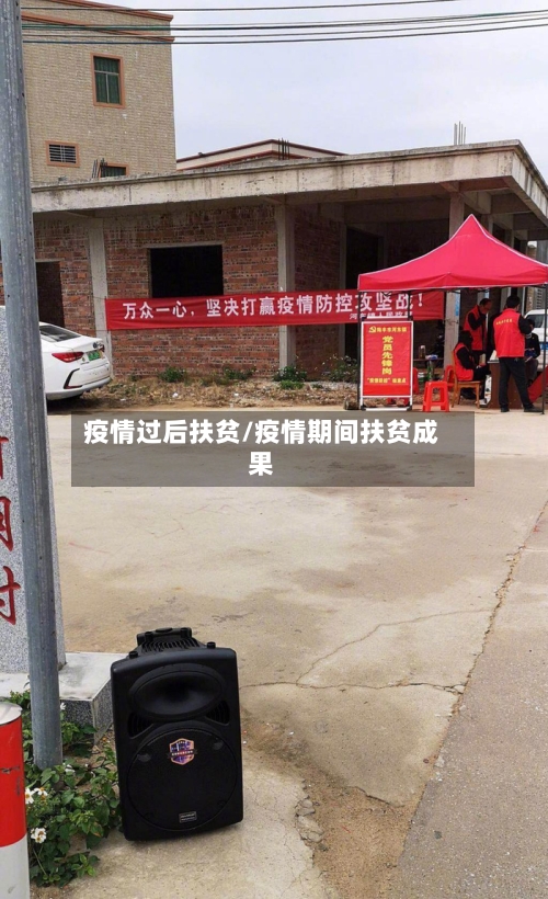 疫情过后扶贫/疫情期间扶贫成果