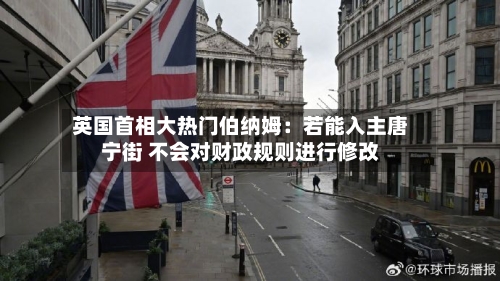 英国首相大热门伯纳姆：若能入主唐宁街 不会对财政规则进行修改