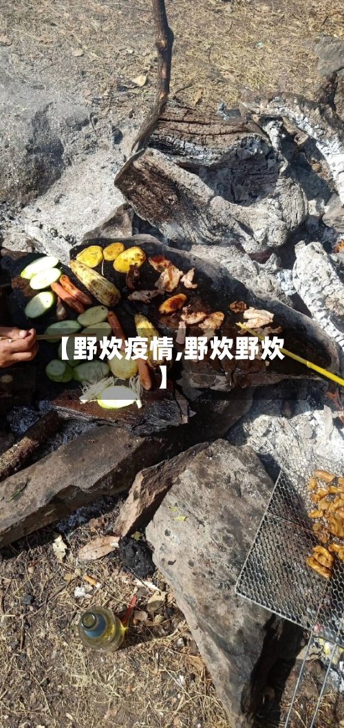 【野炊疫情,野炊野炊】