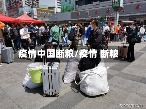 疫情中国断粮/疫情 断粮