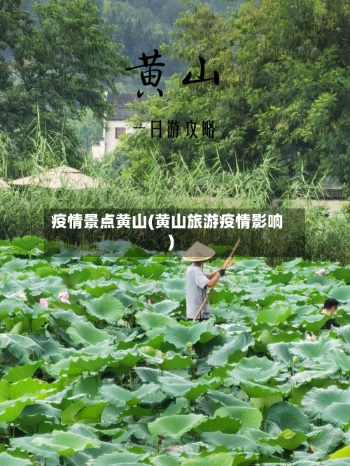 疫情景点黄山(黄山旅游疫情影响)
