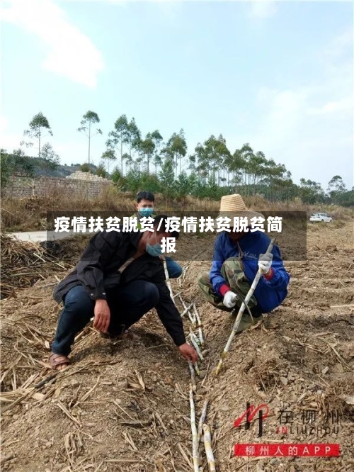 疫情扶贫脱贫/疫情扶贫脱贫简报