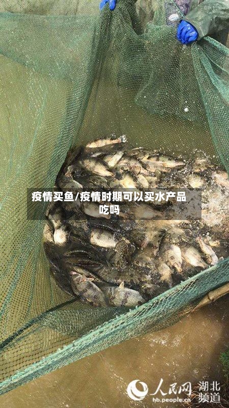 疫情买鱼/疫情时期可以买水产品吃吗