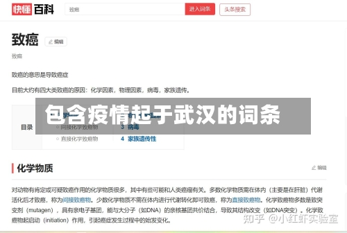 包含疫情起于武汉的词条