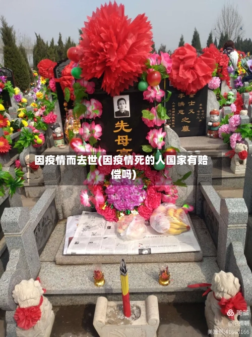 因疫情而去世(因疫情死的人国家有赔偿吗)