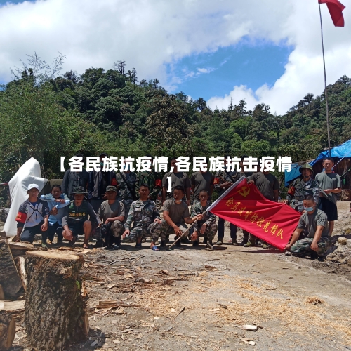 【各民族抗疫情,各民族抗击疫情】