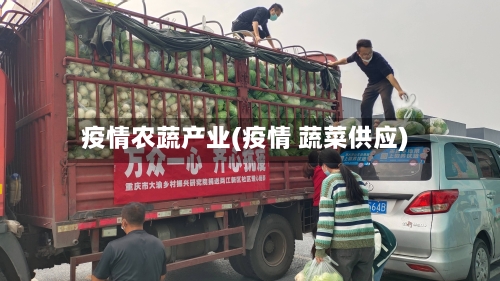 疫情农蔬产业(疫情 蔬菜供应)
