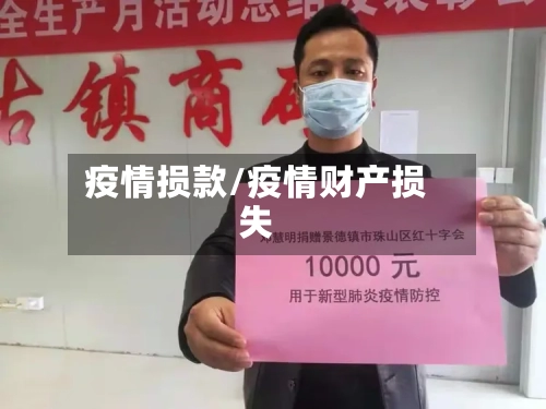 疫情损款/疫情财产损失