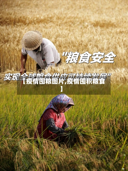 【疫情囤粮图片,疫情囤积粮食】