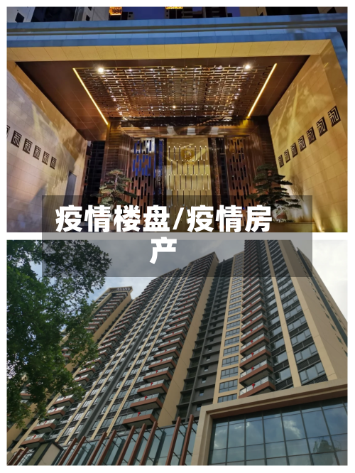 疫情楼盘/疫情房产