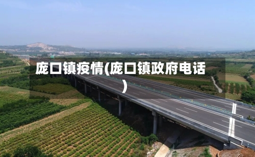 庞口镇疫情(庞口镇政府电话)
