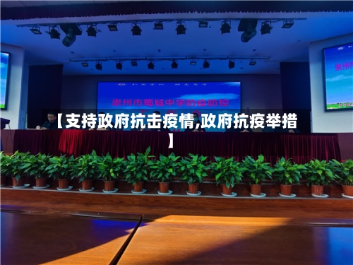 【支持政府抗击疫情,政府抗疫举措】