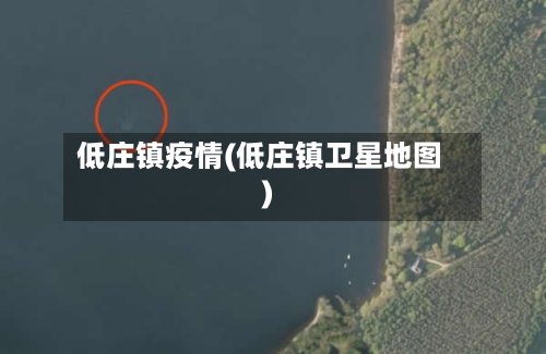 低庄镇疫情(低庄镇卫星地图)