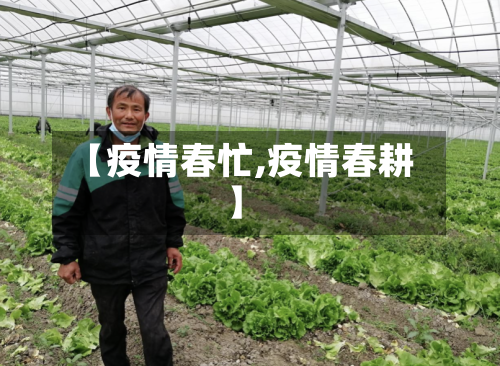 【疫情春忙,疫情春耕】